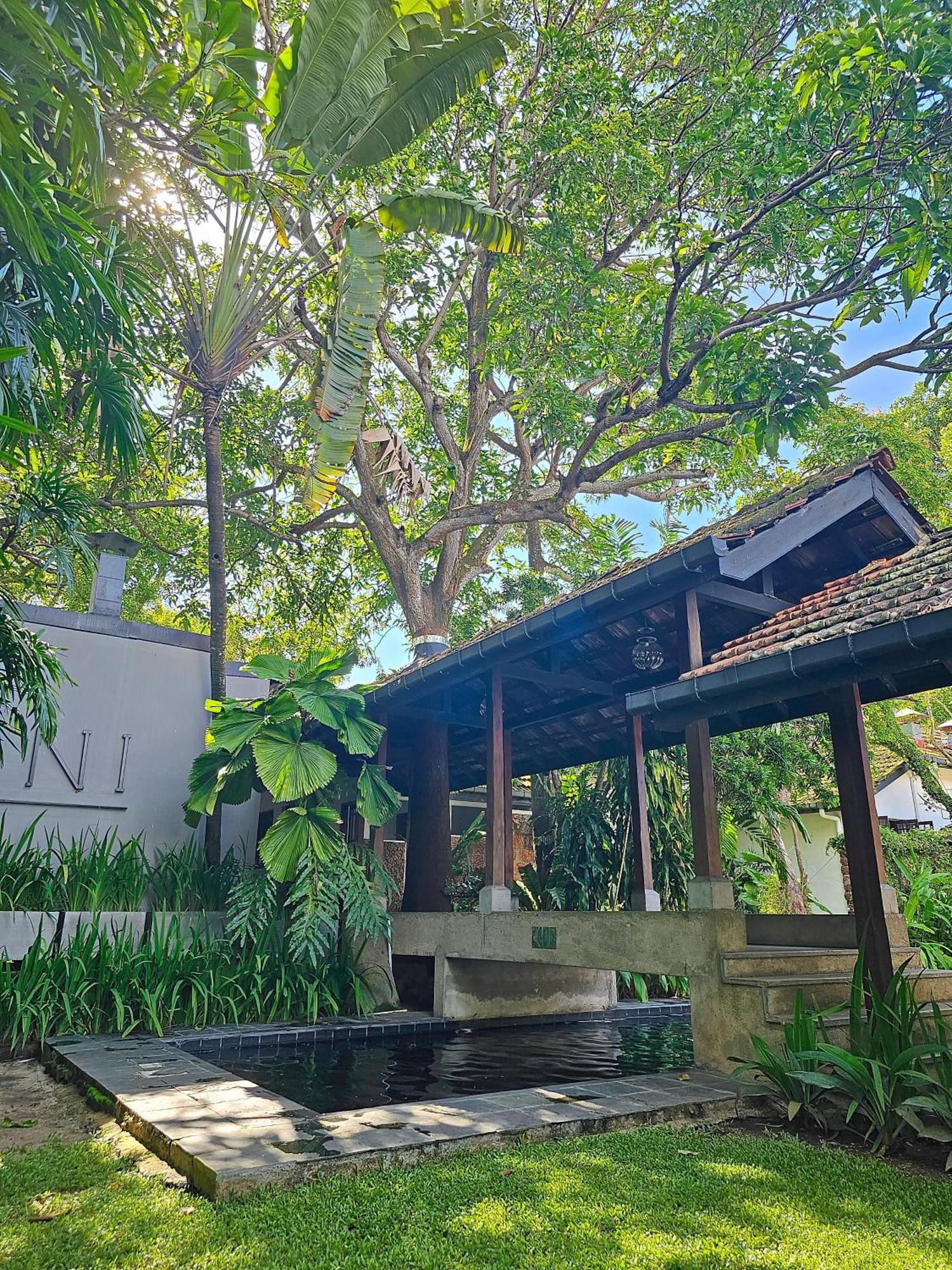 Havelock Place Tempat Tidur & Sarapan *